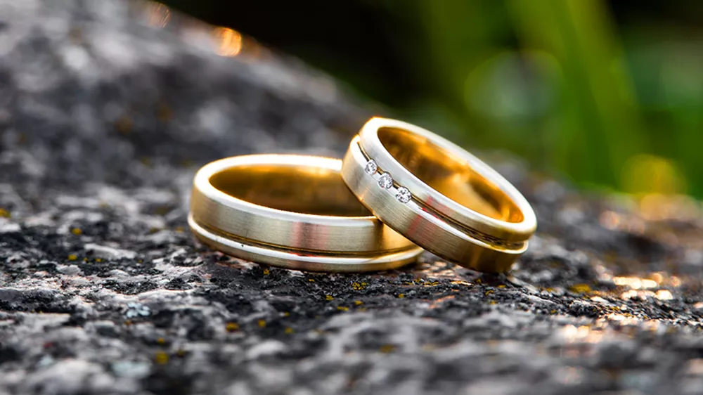 حلقههای JRringstudio Matching Gold Band در طبیعت